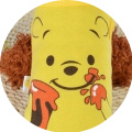 Winnie the pooh