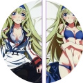 Infinite Stratos